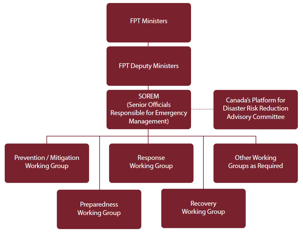 Figure 1: FPT Governance Structure