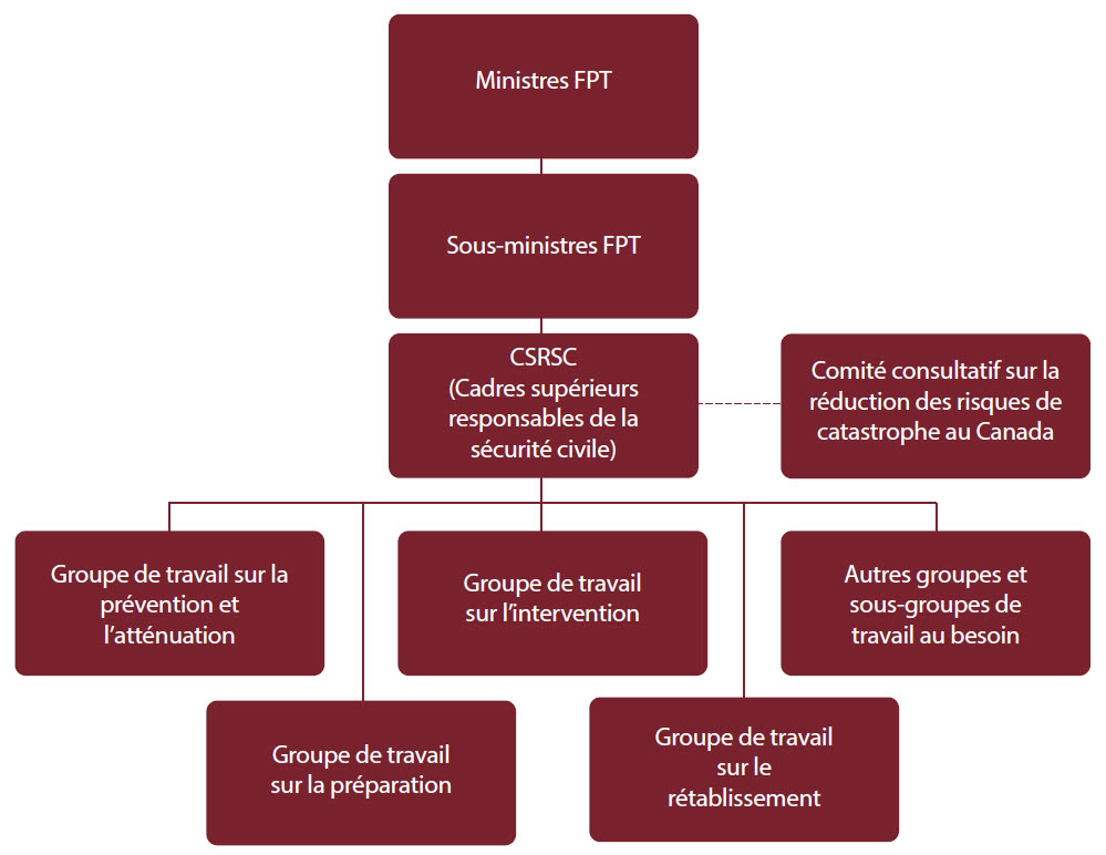 Figure 1 : Structure de gouvernance FPT
