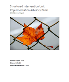 Structured Intervention  Unit Implementation Advisory  Panel 2021-22 Annual Report