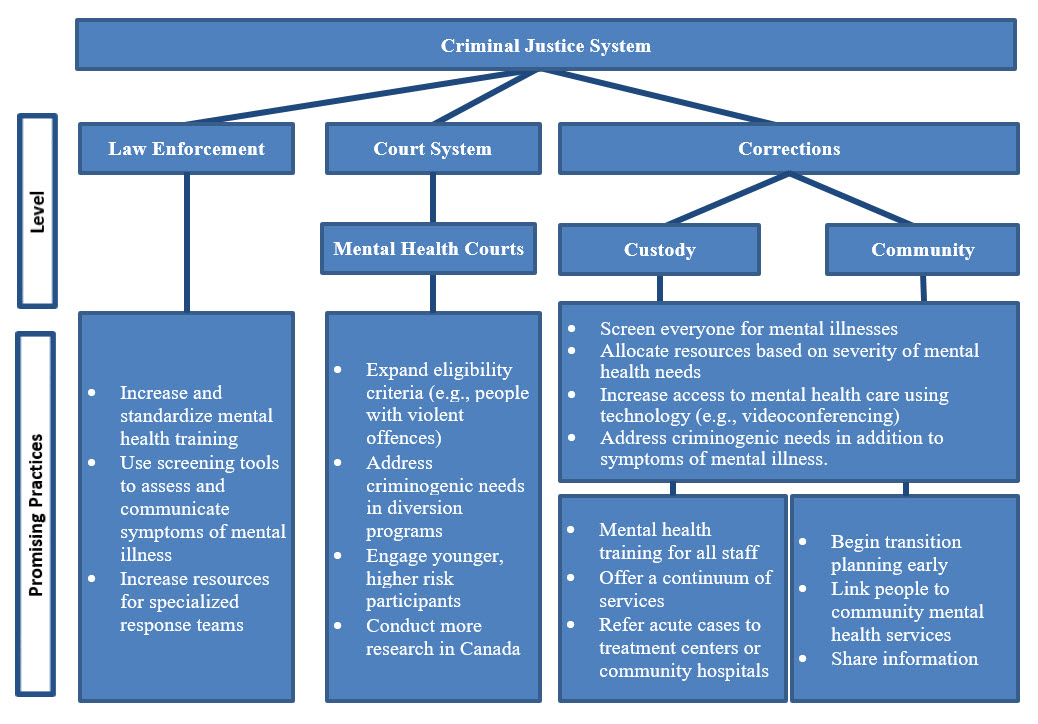 Figure 1. Promising practices for addressing the needs of criminal justice-involved individuals with serious mental illnesses