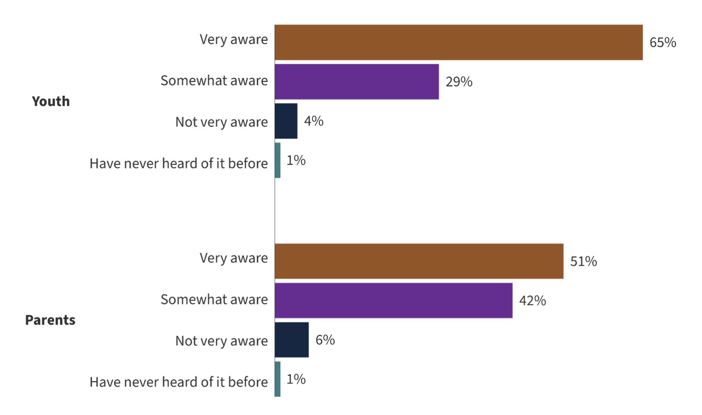 Data is provided in the table 'Table 5. Awareness of cyberbullying in 2024' that follows