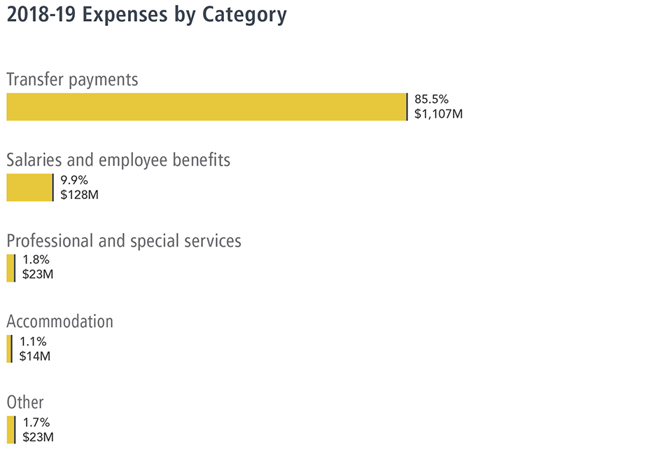2018-19 Expenses by Category