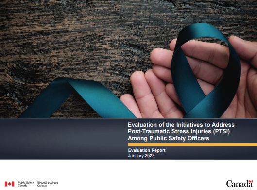Evaluation of the Initiatives to Address Post-Traumatic Stress Injuries (PTSI) Evaluation Report