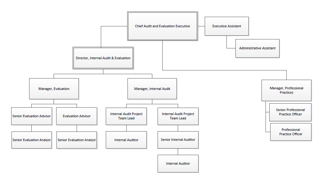 Figure 1: IAED Organizational Chart