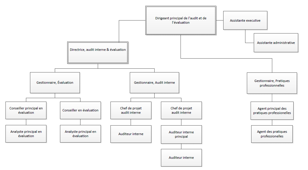 Figure 1 :  Organigramme de la DGAIE